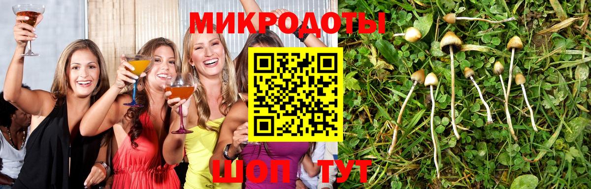 Псилоцибиновые грибы GOLDEN TEACHER Севастополь