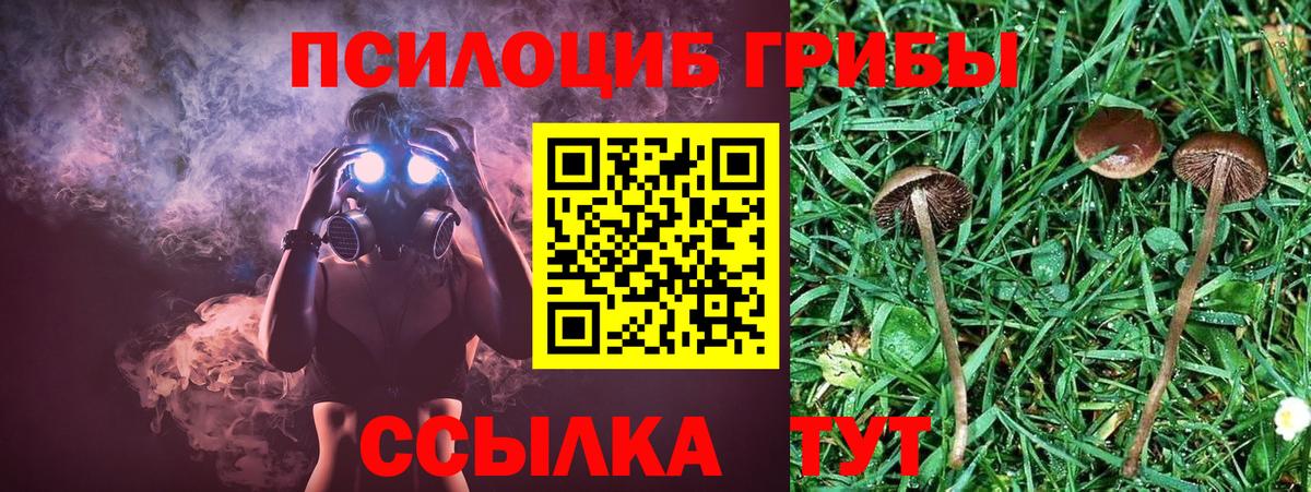 Севастополь  Псилоцибиновые грибы мухоморы  Псилоцибиновые грибы ЛСД  Вход с VPN 